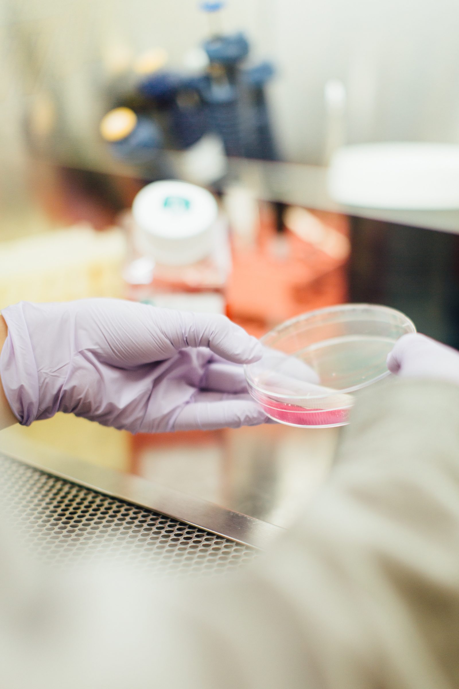 A scientist in rubber gloves holding a Petri dish with some liquid